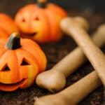 zucche ed ossa per la festa di halloween