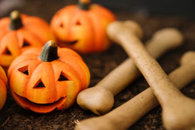 zucche ed ossa per la festa di halloween