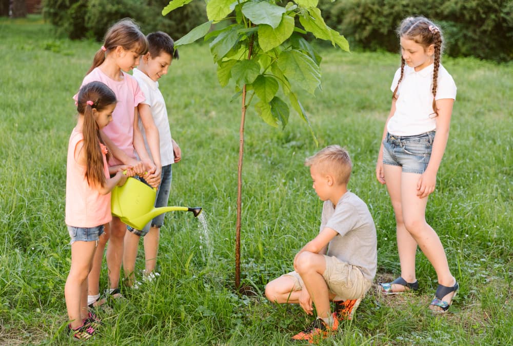 bambini che piantano un albero nel prato