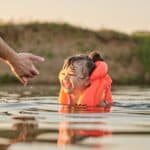 bambina in acqua