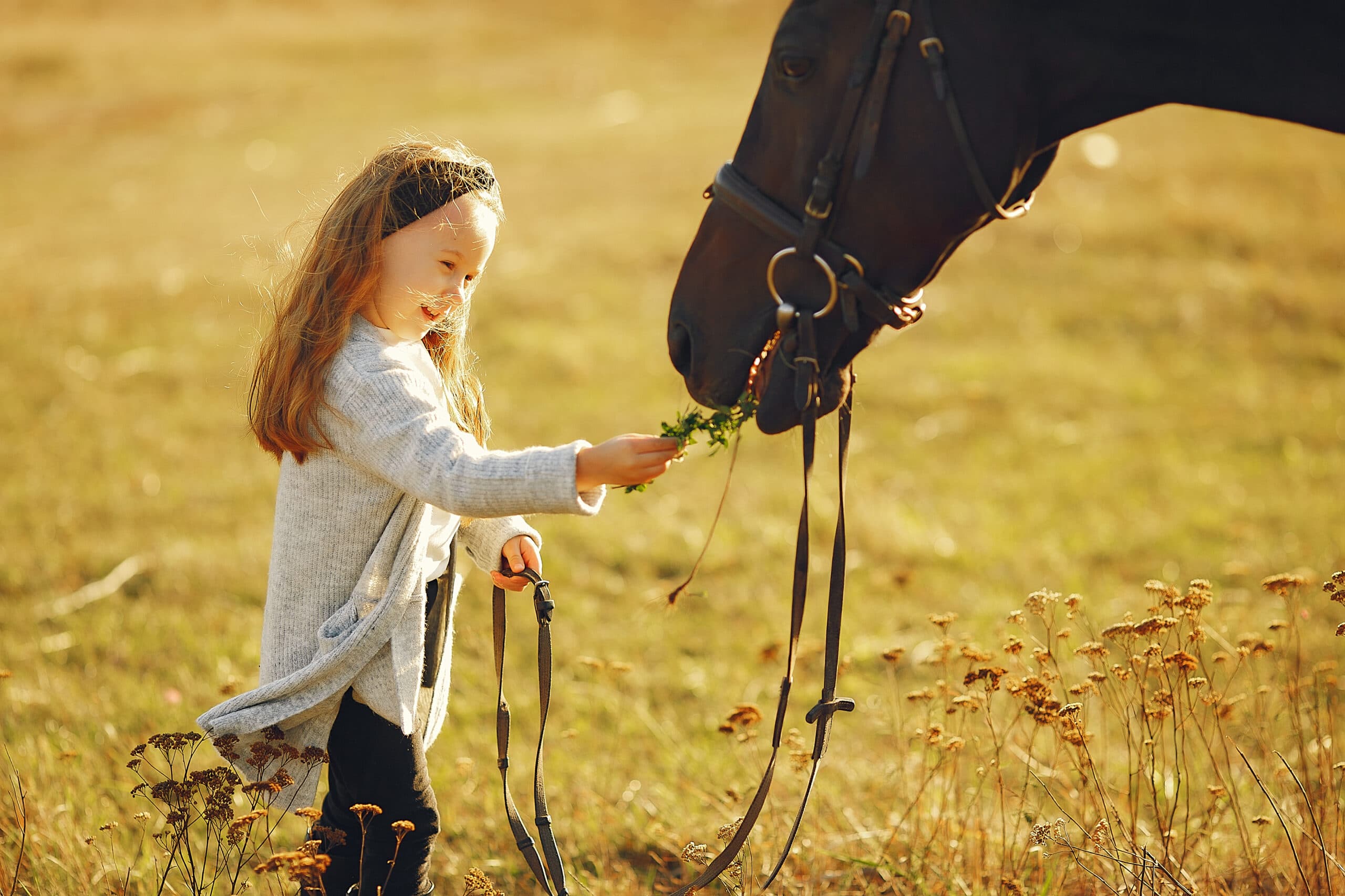 bambina che accarezza cavallo