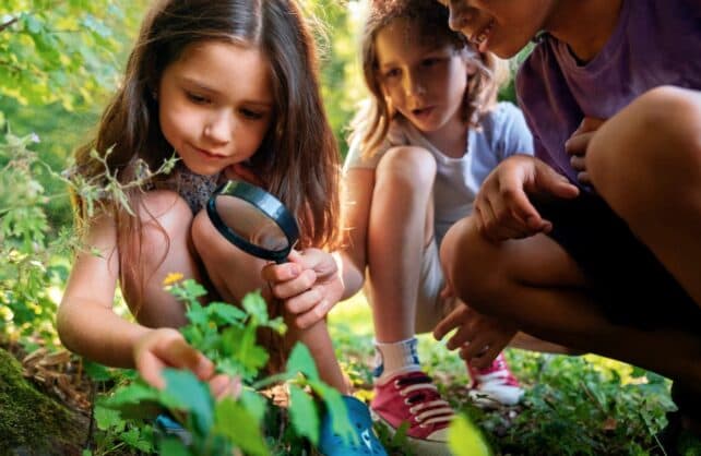 bambini che controllano piante