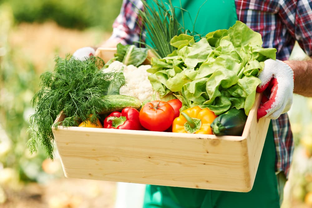 cassetta di verdure fresche